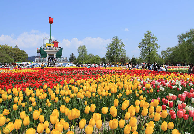 砺波チューリップフェア