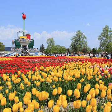 砺波チューリップフェア