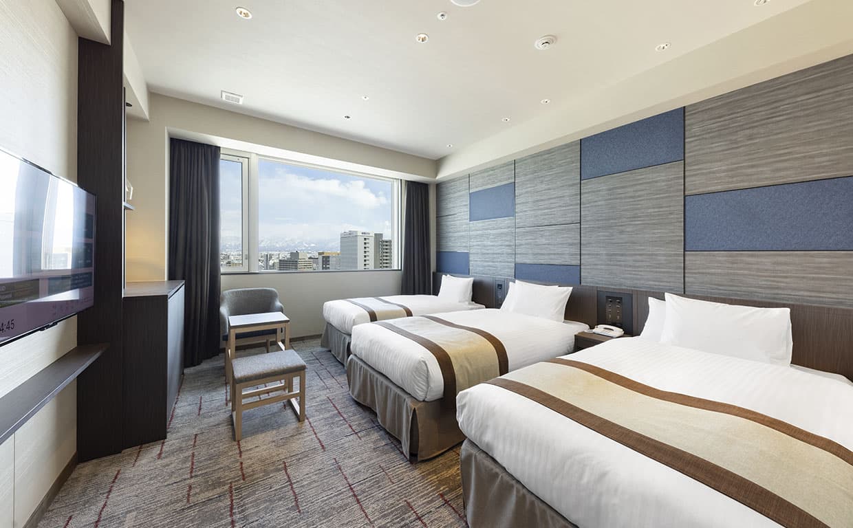 デラックスツインプラス