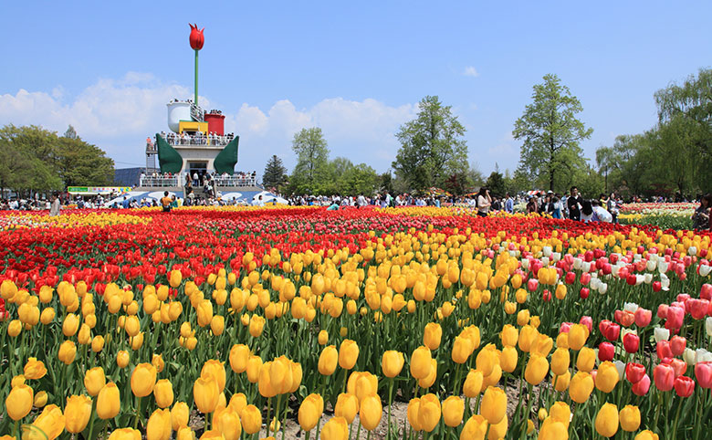 砺波チューリップフェア